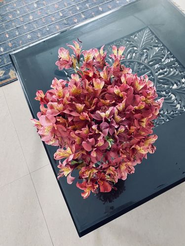 Customer photo review of Alstroemeria (Bunch of 12)