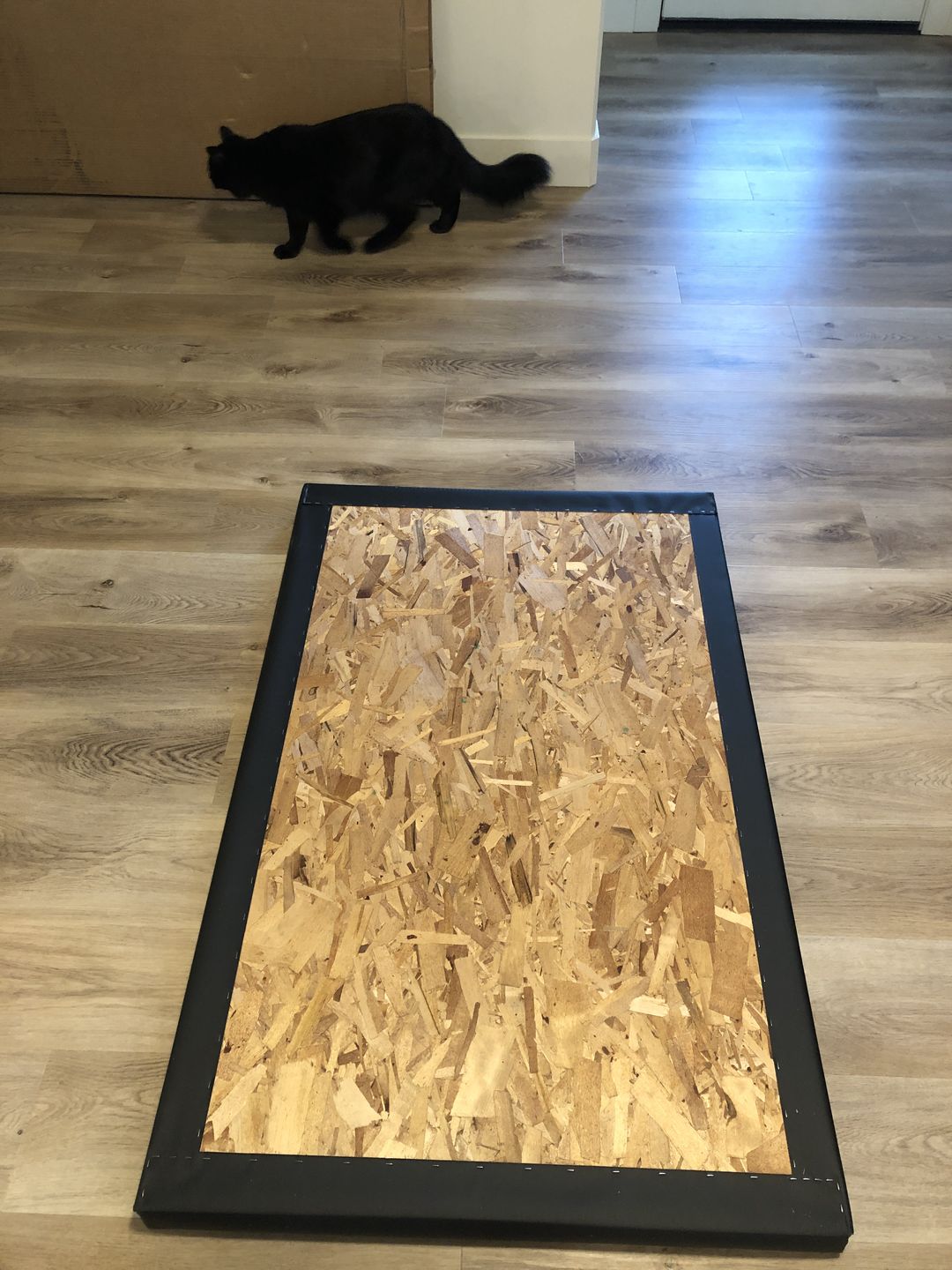 Customer photo review of Design Your Portable Tap Floor