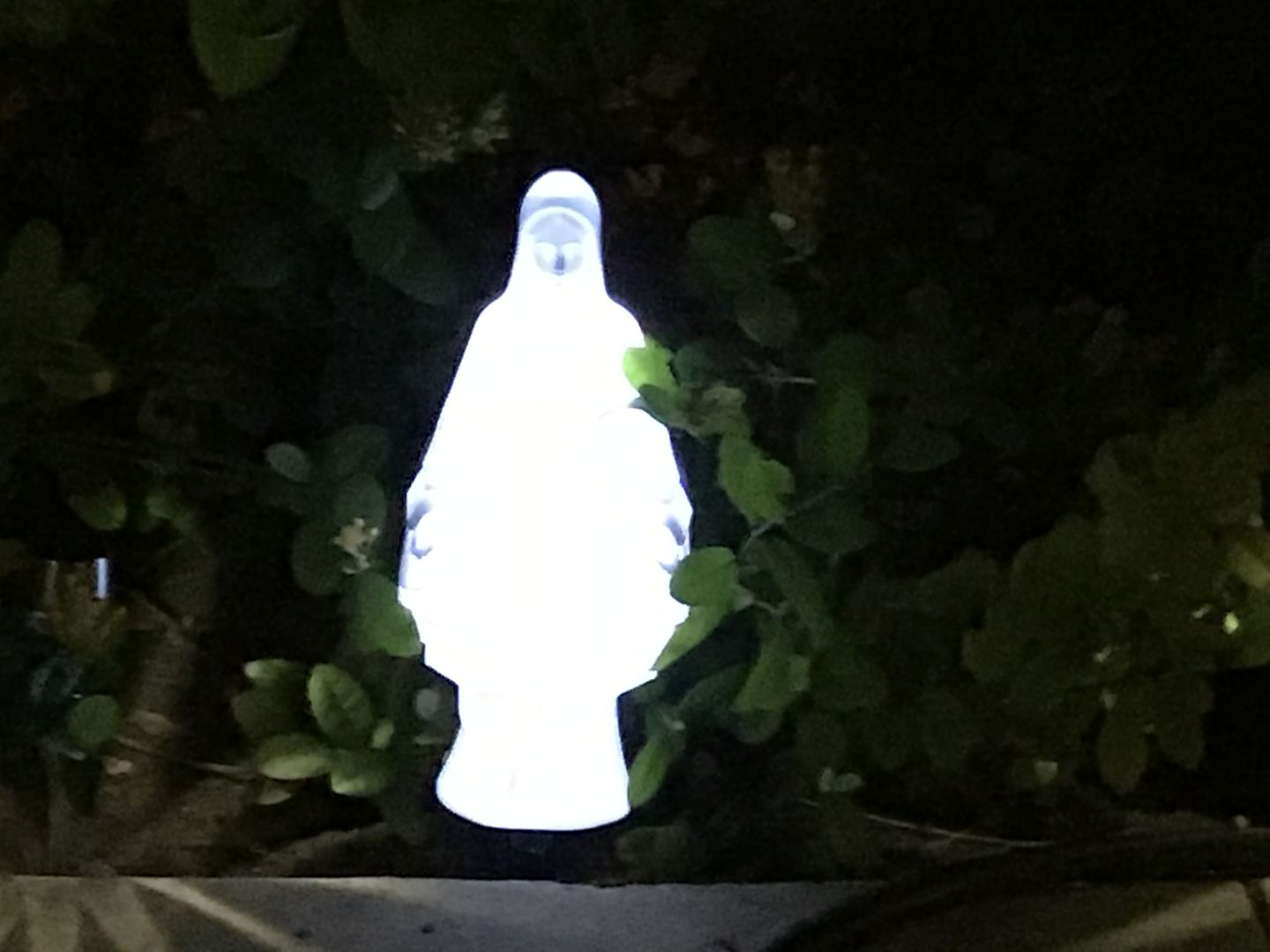 Customer photo review of Eternal Light Blessed Mary