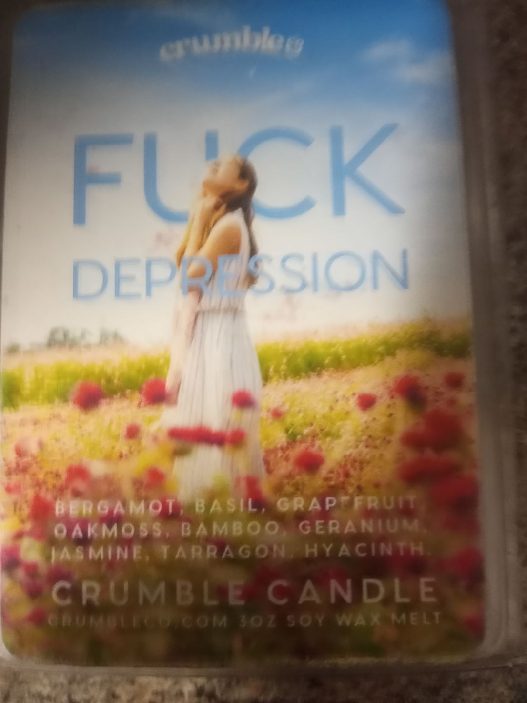 Customer photo review of Fuck Depression Wax Melts