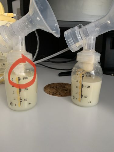 Dairy duchess milky mama