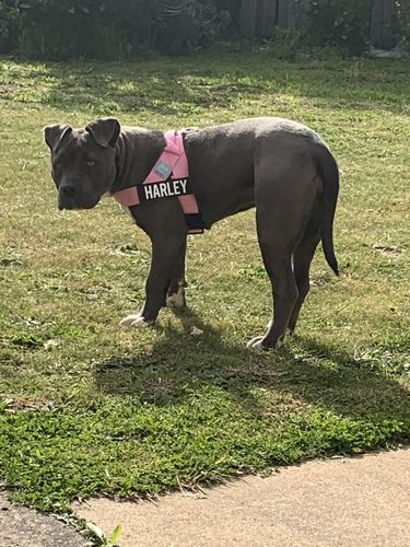 Customer photo review of Signature Kit