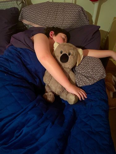 Customer photo review of Weighted Blanket II