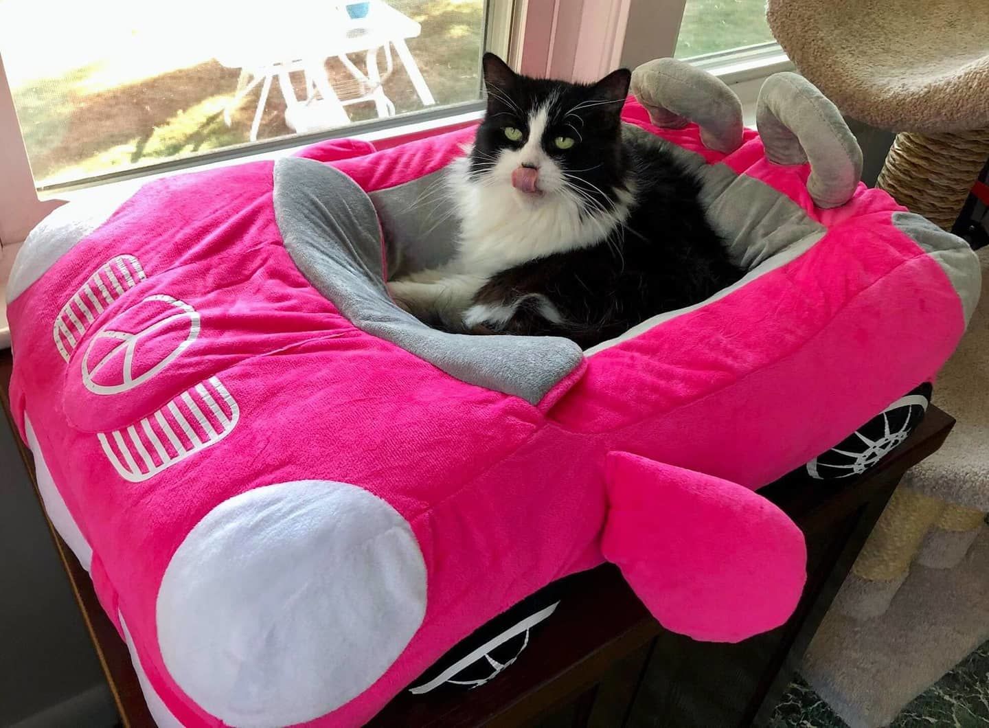 Customer photo review of Furcedes Sports Car Bed