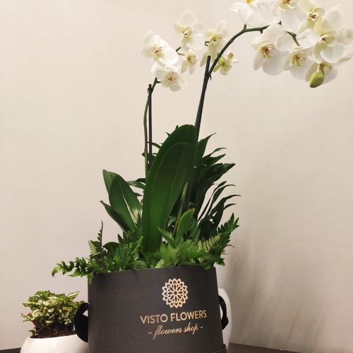 Customer photo review of Caja de Doble Orquídea RN