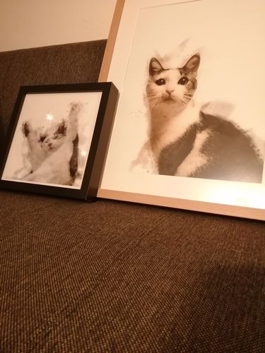 Customer photo review of Individuelles Haustierporträt - Posterdruck