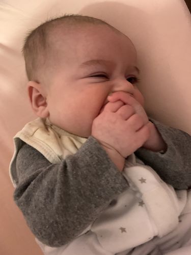 Customer photo review of The Bundle