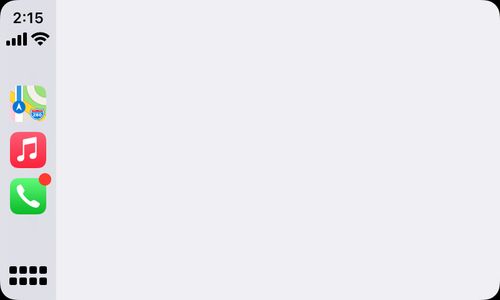 Customer photo review of Air Jordan 11 Retro 25th  Anniversary