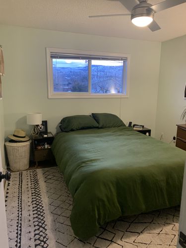 Customer photo review of Alma Scandi Silver Rug