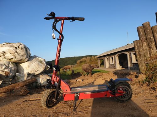 Customer photo review of Qiewa Q-POWER(Black)