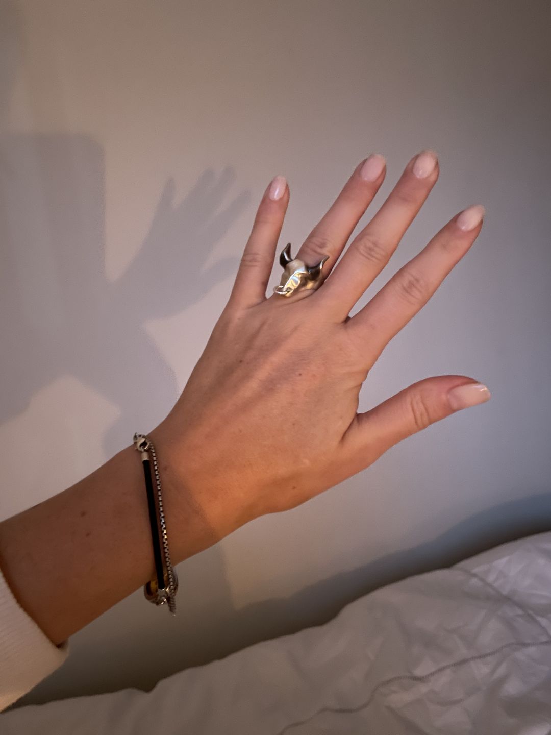 Customer photo review of Bull Ring