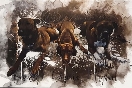 Customer photo review of Graffiti