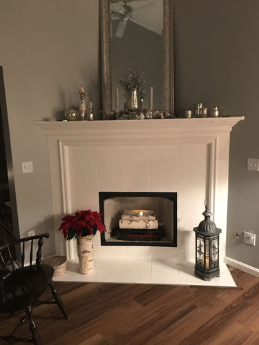 Customer photo review of Dimplex Revillusion 20" Electric Birchwood Log Insert
