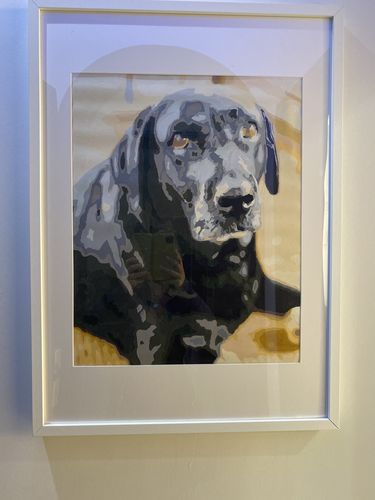 Customer photo review of YOUR PHOTO AS PAINT BY NUMBERS