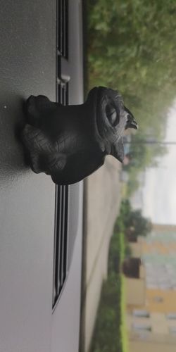 Customer photo review of Figurine Dragon<br> Krokmou