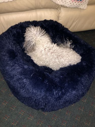 pawbarksit calming bed