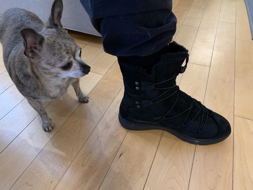 Customer photo review of Alaskan