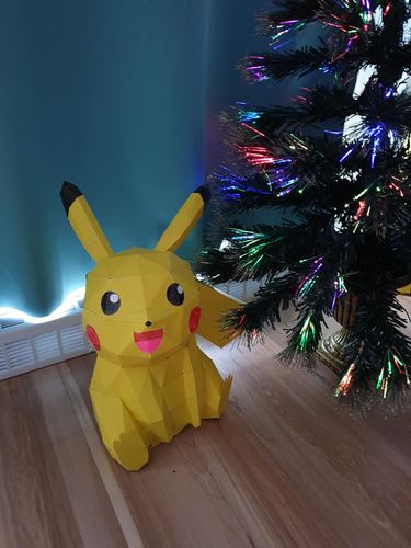 Customer photo review of Pikachu