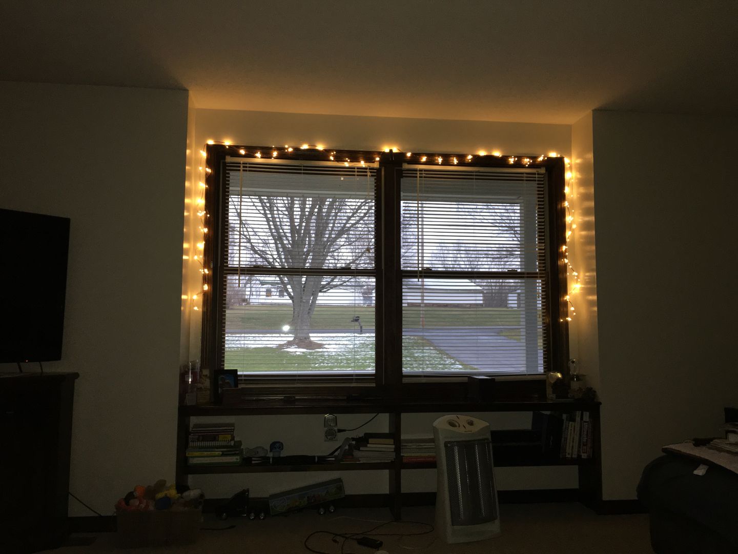 Customer photo review of 33 FT | 100 Warm White LED Waterproof Micro Fairy String Lights with AC Plug-In Power