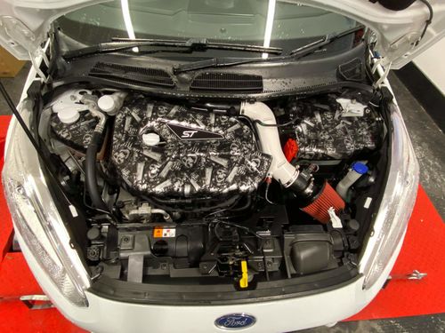 Customer photo review of Proform Engine Bay Dress Up Kit (Painted/Hydrodipped) - Mk7.5 Fiesta
