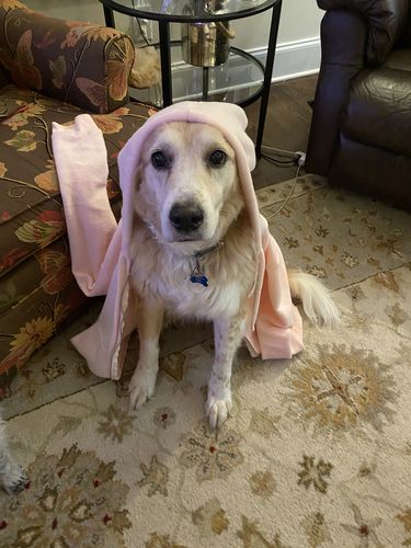 Customer photo review of Cloud Cotton Zipper™