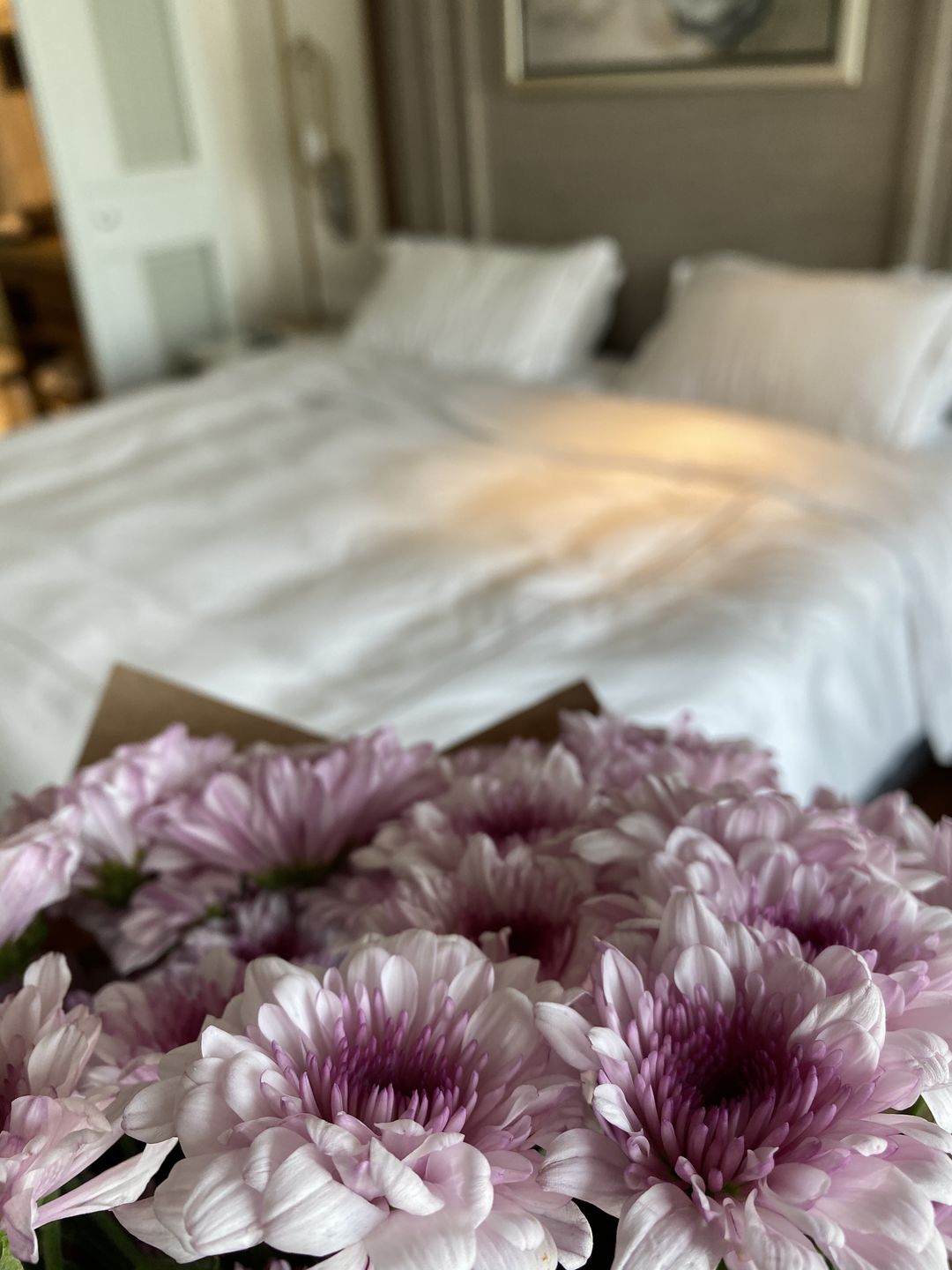 Customer photo review of Chrysanthemum (Bunch of 8)