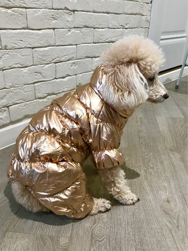 Customer photo review of Padded Puffer Dog Jacket