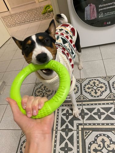 Customer photo review of Dog Rubber Ring Frisbee