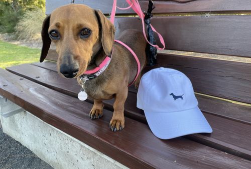 Customer photo review of Dachshund Cap White