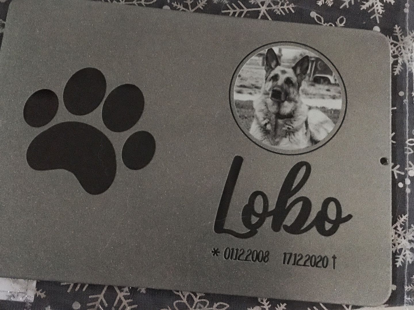 Customer photo review of Gedenktafel Hund "Pfote"