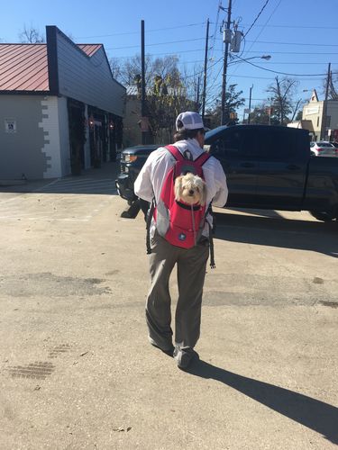 Carrie V. review of miiBuddy Dog Backpack +Lifetime Warranty