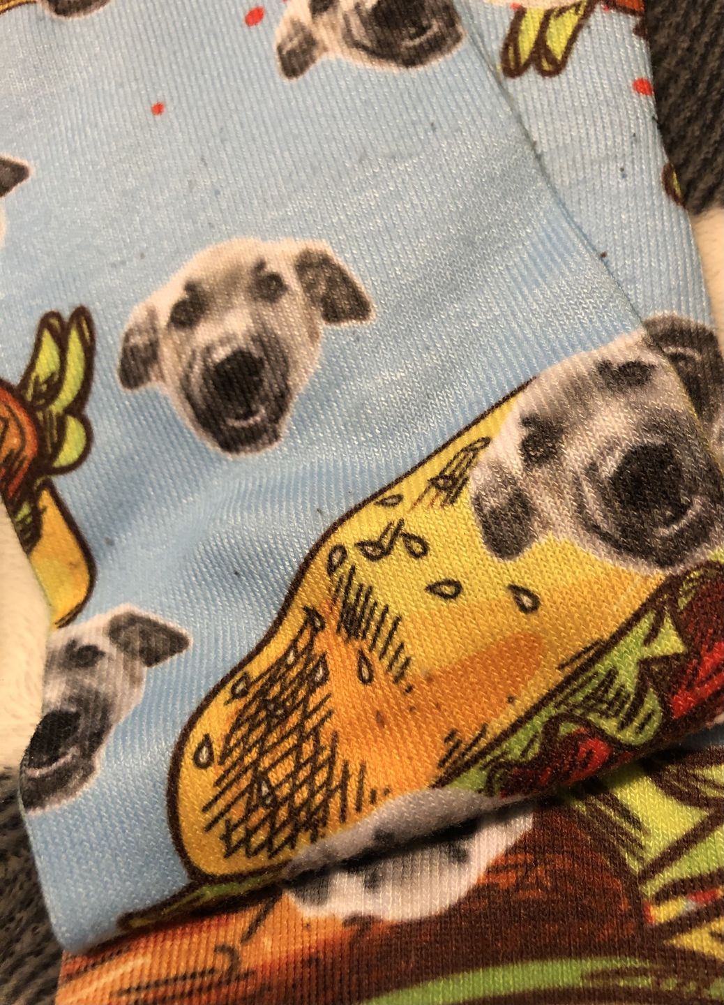 Customer photo review of Custom Pet Art Socks