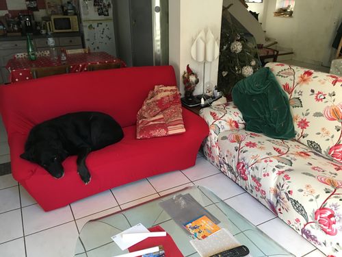 Customer photo review of Rouge - Housses Extensibles de Fauteuil et Canapé - La Maison des Housses