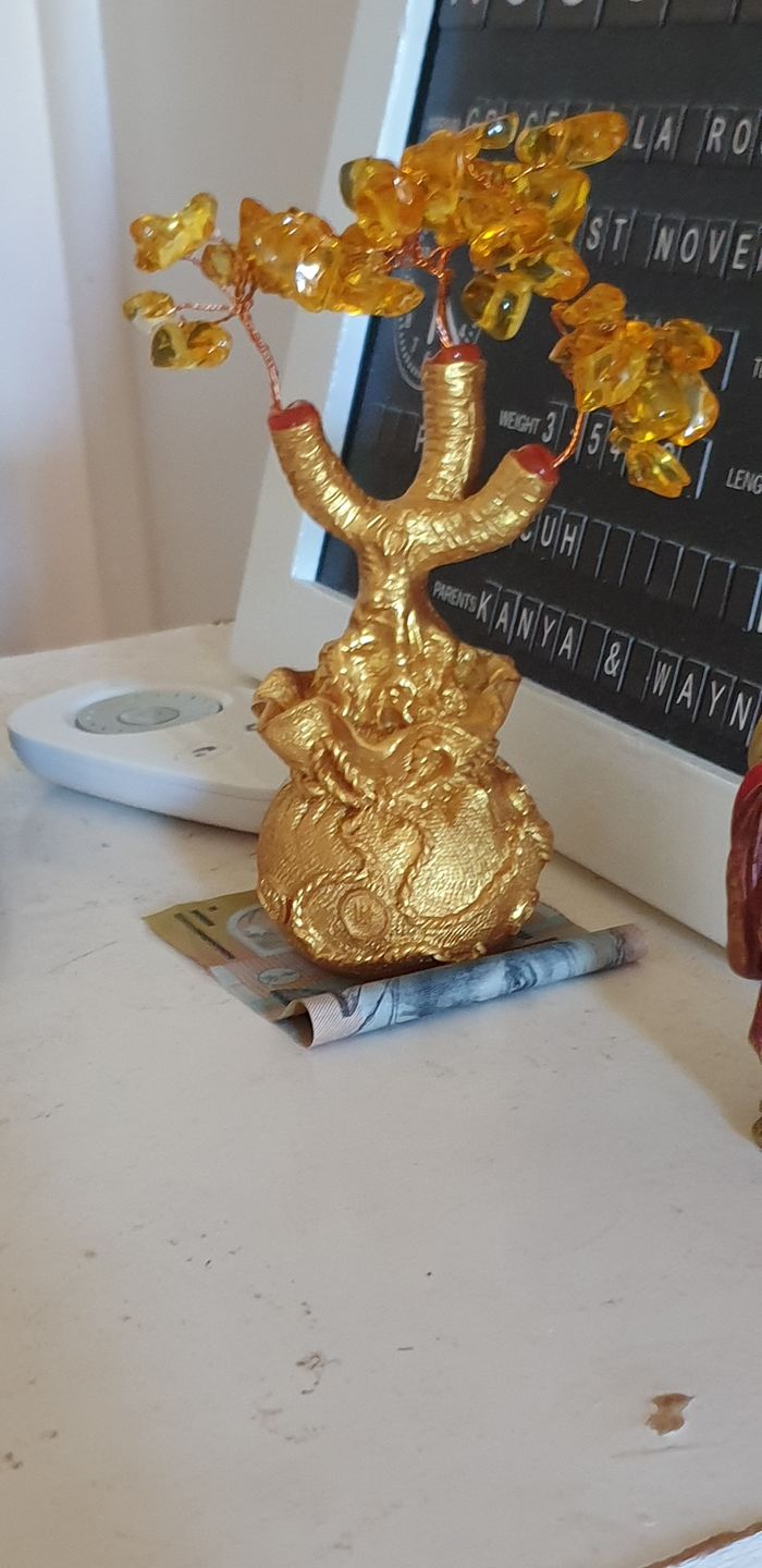 Customer photo review of Feng Shui Citrine Money Tree Wealth Ornaments