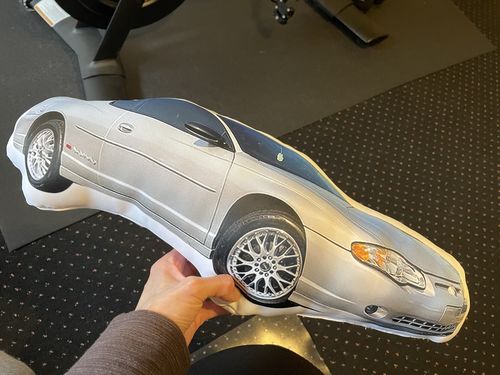 Customer photo review of Create A Custom Car Pillow