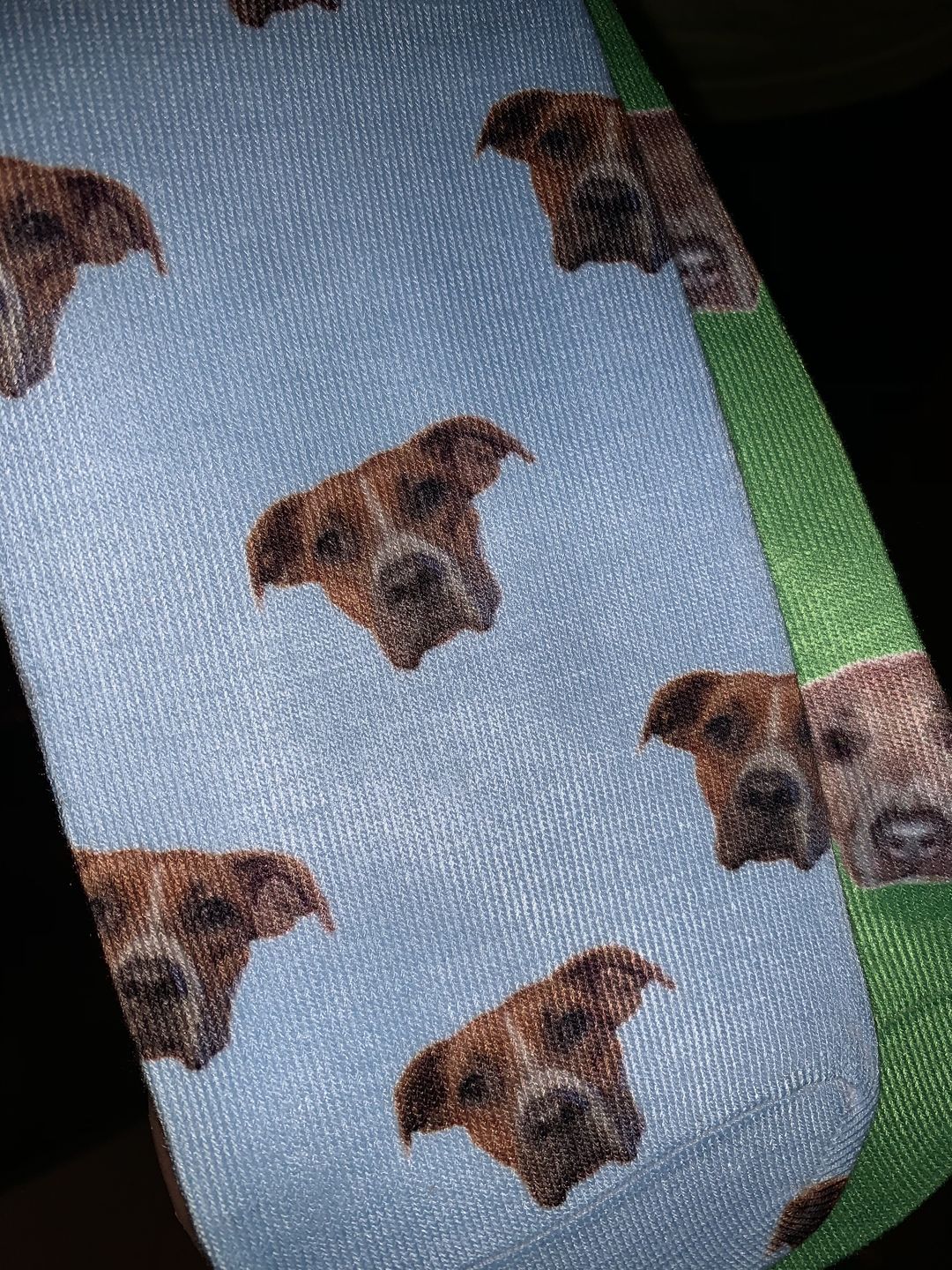 Customer photo review of Custom Pet Art Socks