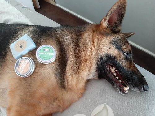 Customer photo review of Ruff Skin Salvation - Skin repair balm for dogs
