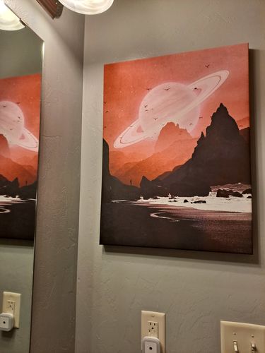Customer photo review of Roseate Canvas Set