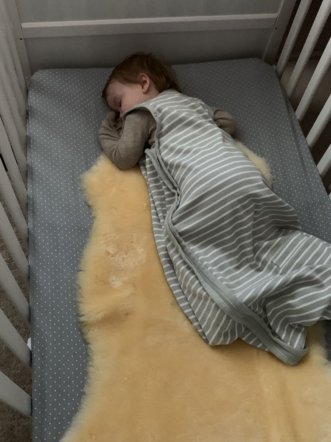 Customer photo review of Sheepskin Rug for Babies, 100% Natural, Shorn Lambskin Wool, 2 x 3 Feet, Flax