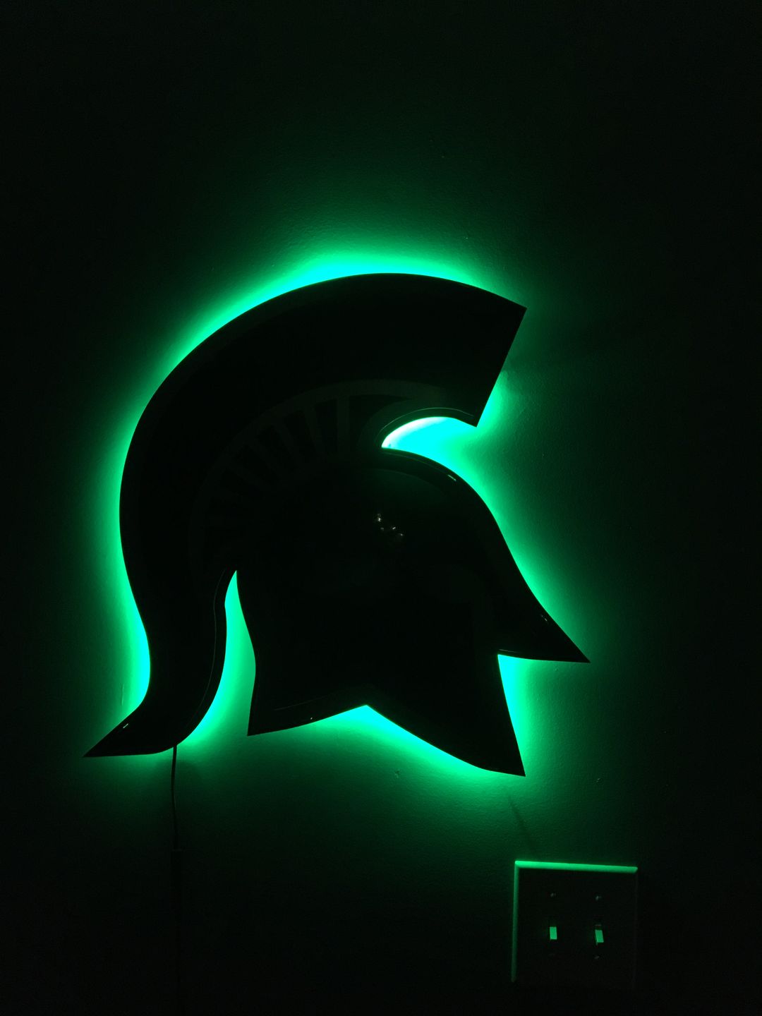 Customer photo review of Michigan State University "Spartan Helmet" 3D Vintage Metal Art 22" x 20"