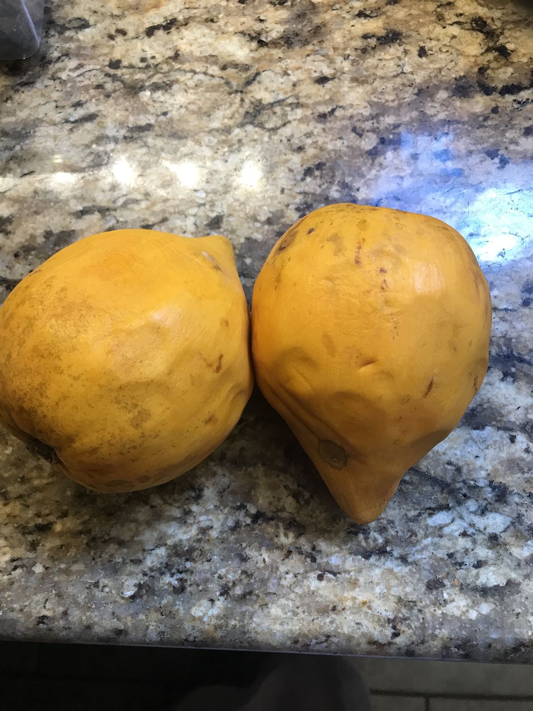 Customer photo review of Eggfruit (Canistel) Box