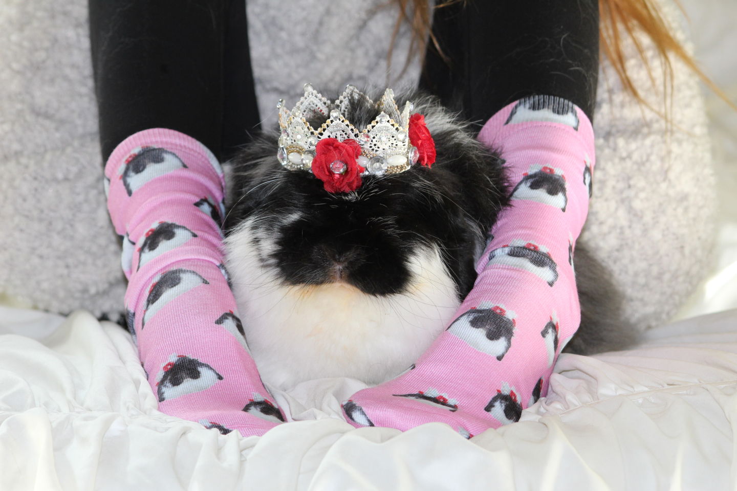 Customer photo review of Custom Pet Art Socks