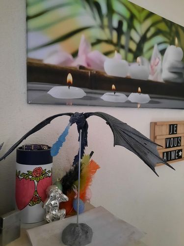 Customer photo review of Figurine Dragon Viserion
