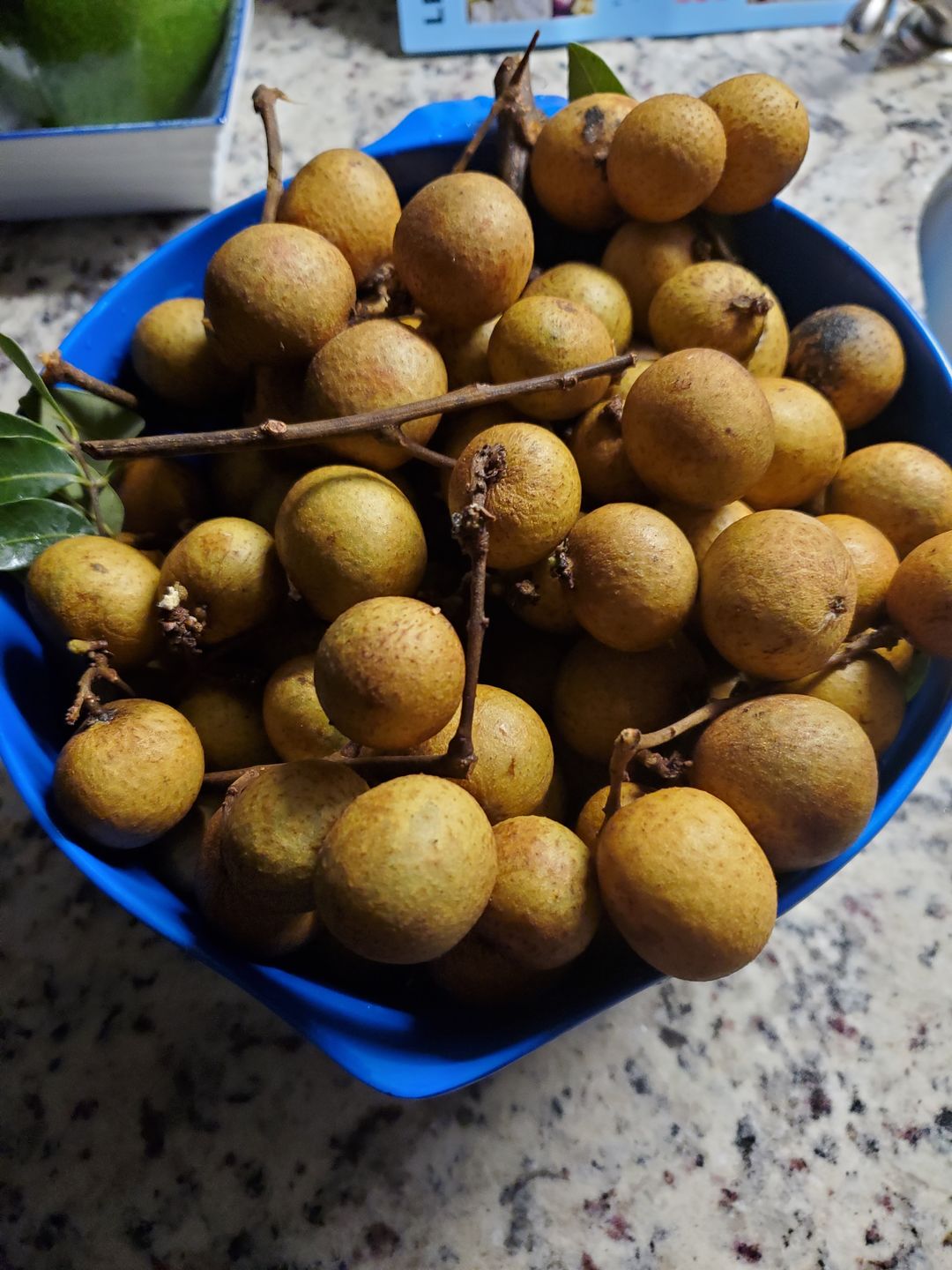 Customer photo review of Longan Box