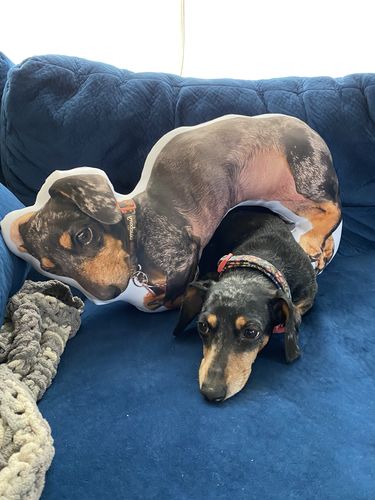 Customer photo review of Create A Custom Object Pillow
