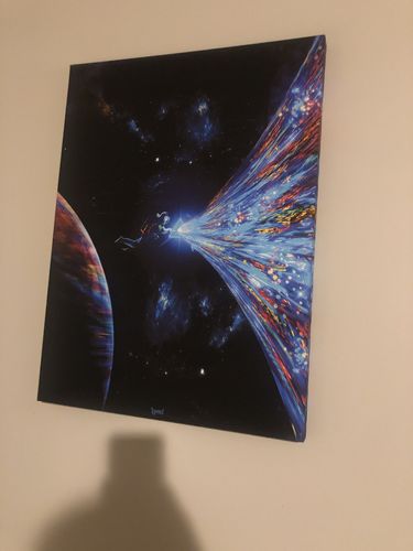 Customer photo review of Big Difference Canvas Set