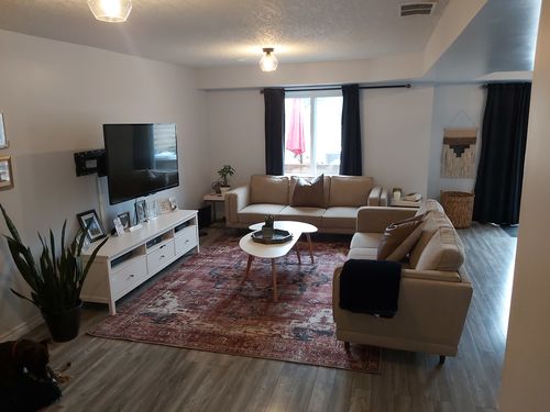 Customer photo review of Distressed Vintage Cezanne Terracotta Area Rug