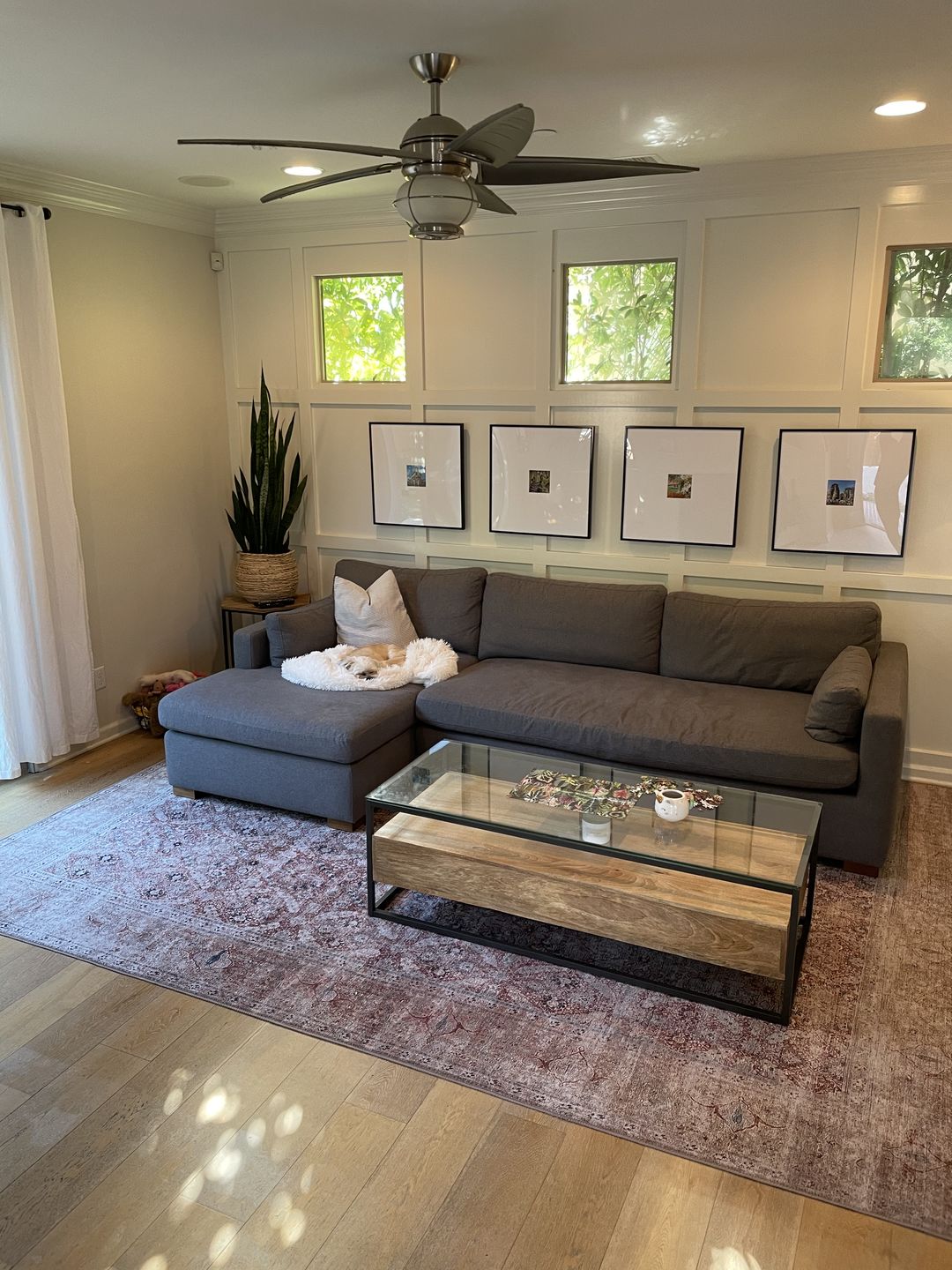 Customer photo review of Distressed Vintage Levent Area Rug