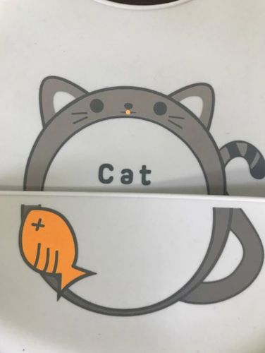 Customer photo review of BAVIMO™ - Bavoir à Poche en Silicone "Animaux"