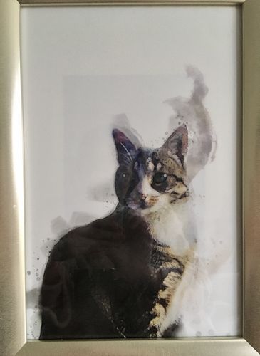 Customer photo review of Individuelles Haustierporträt - Posterdruck